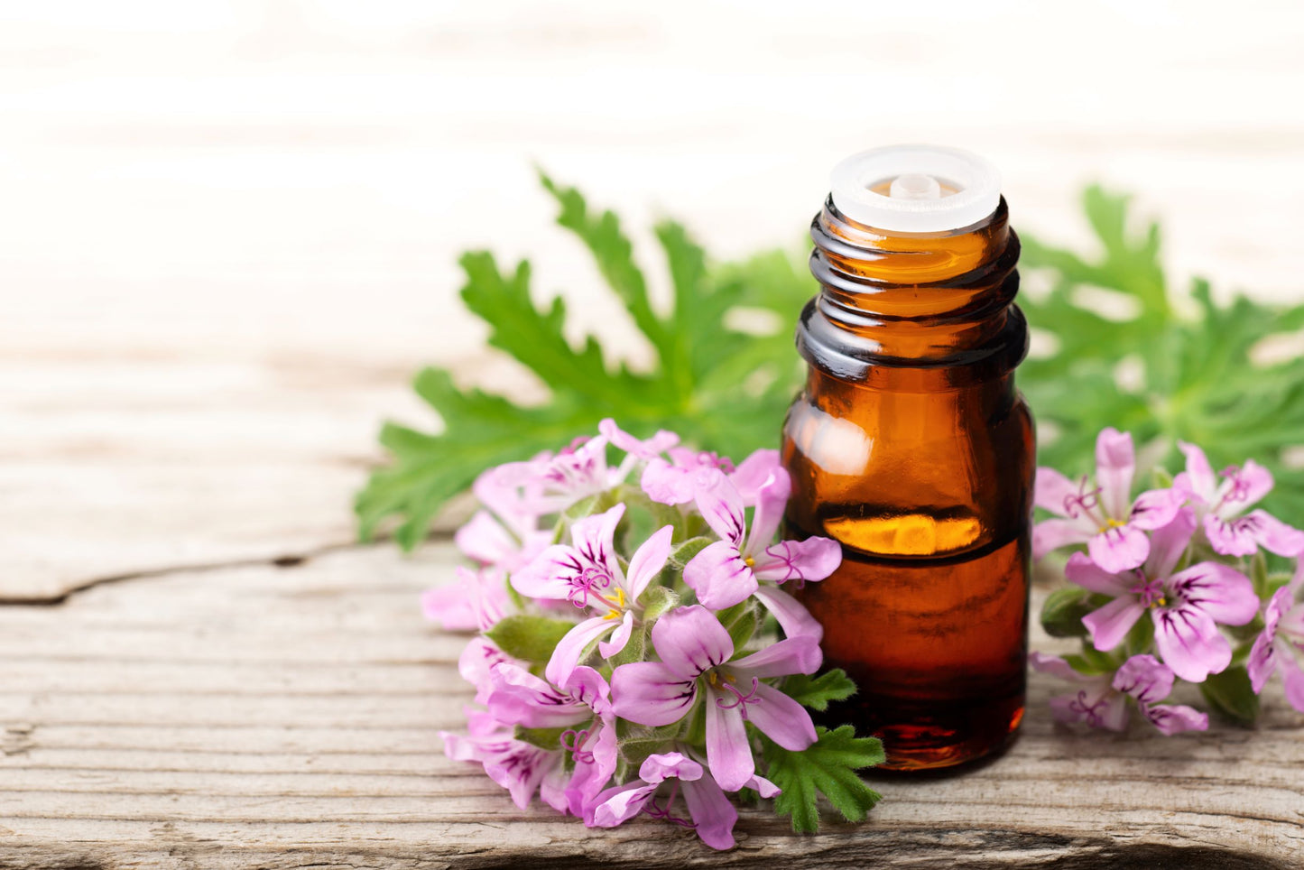 Rose Geranium Hand & Body Butter - Calendula Bath and Home