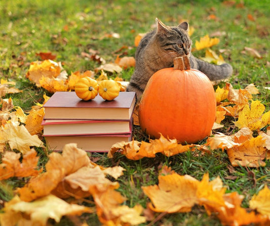 A stack of books, a pumpkin, and a cat surrounded by orange fall leaves.