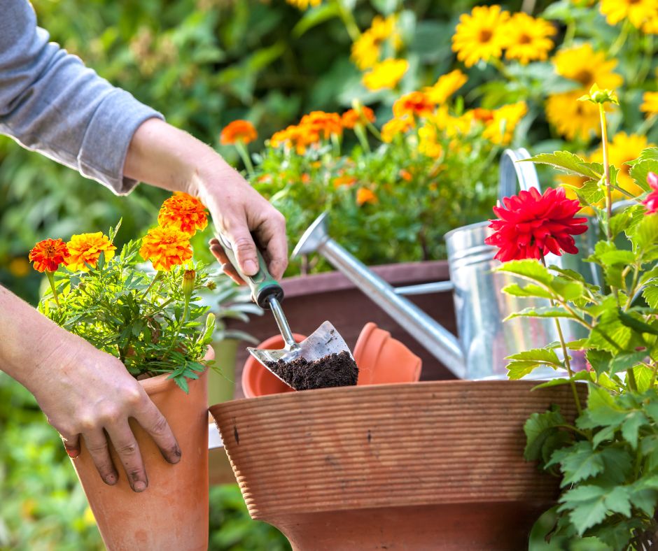 Balancing Work and Play: Outdoor Activities for Busy People