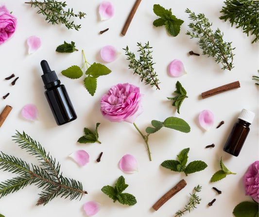 10 Essential Oils to Transform Your Home into a Calming Sanctuary