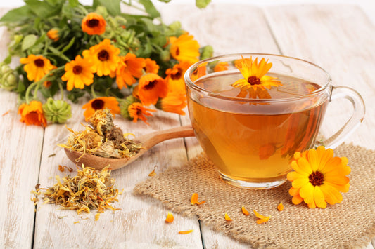 Warm Calendula Tea with Fresh and Dried Calendula Flowers